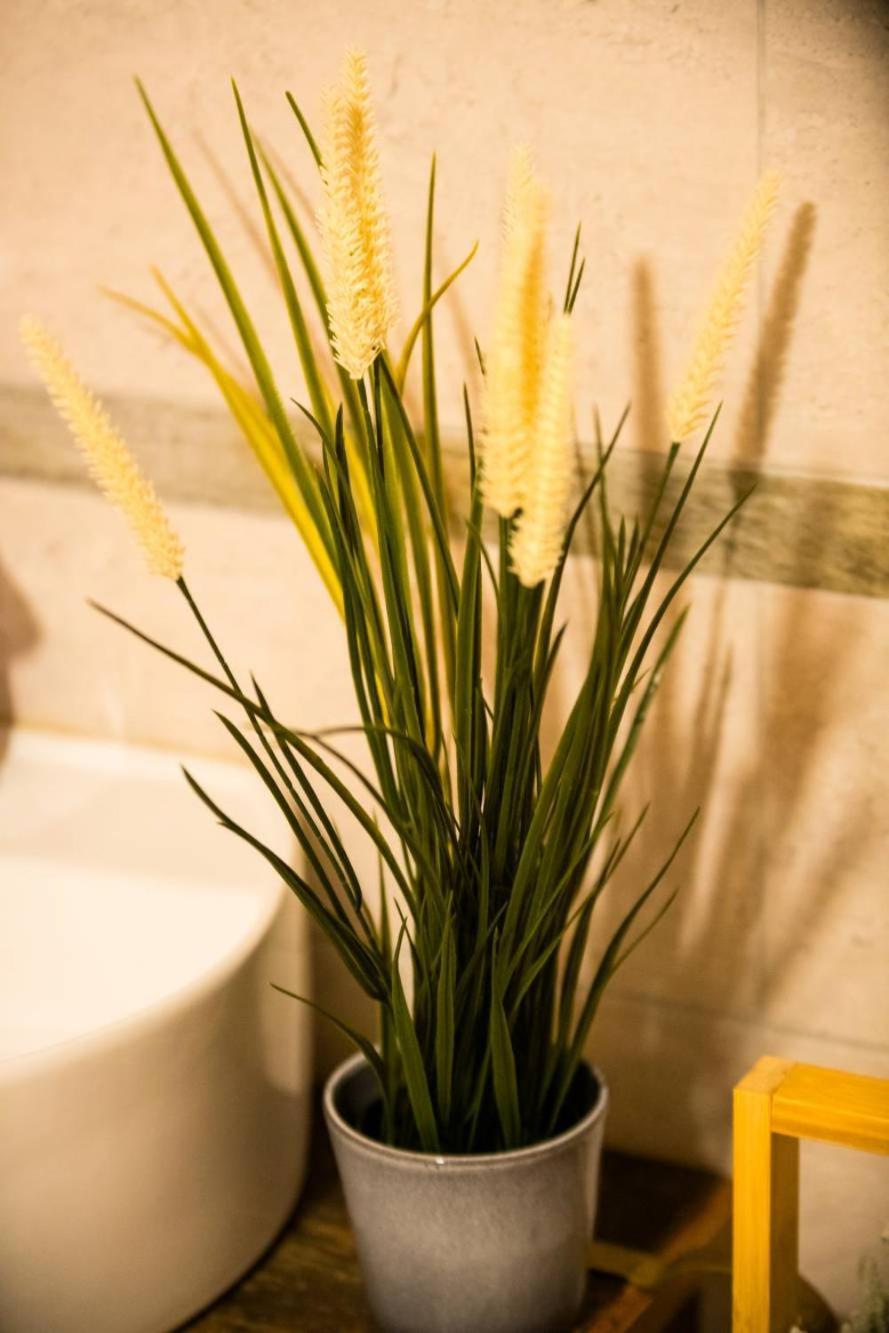 Achillea Appartement Rhemes-Saint-Georges Buitenkant foto